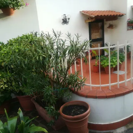 Il Giardino Delle Rose Appartamento Cerliano