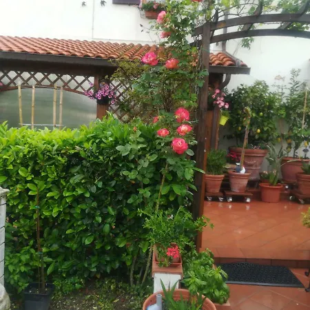 Il Giardino Delle Rose